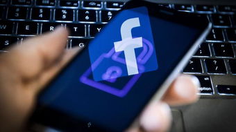 從教訓到行動 Facebook收購網絡安全公司的戰略意圖與上海網絡信息安全軟件開發的機遇